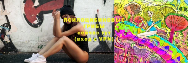 ешки Алексеевка