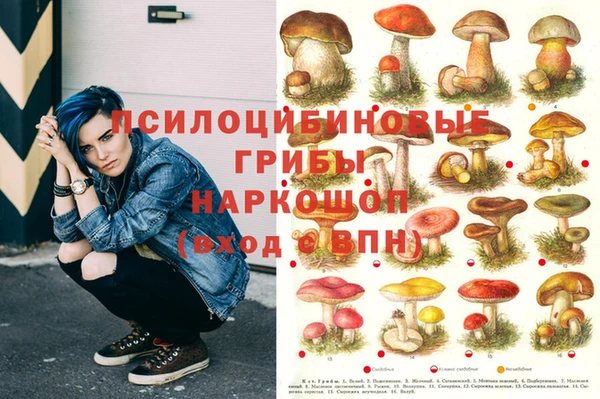 спиды Заволжье