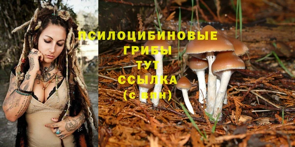 шишки Алексин