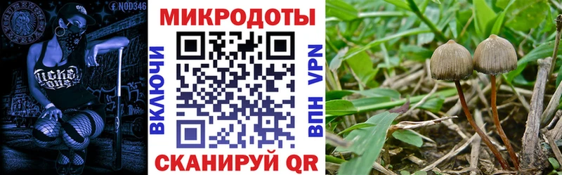 Галлюциногенные грибы GOLDEN TEACHER  что такое   Ижевск 